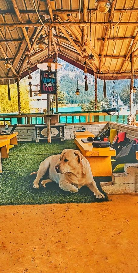The Culture Nation Hostel Manali Eksteriør bilde